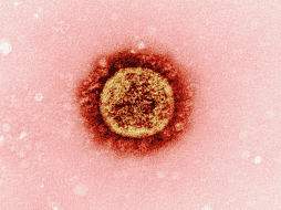El Herpes Zóster es un sarpullido que aparece en forma de pequeñas ampollas en la piel. UNSPLASH /