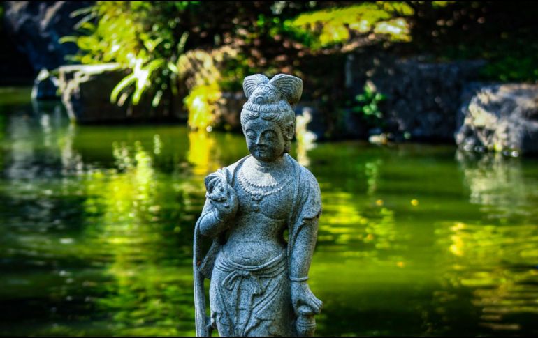 Ubicado en el bosque Los Colomos en Guadalajara, este lugar es uno de los paisajes más bellos de la ciudad. EL INFORMADOR / ARCHIVO