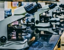 ¿Cuáles son los riesgos de los químicos de la vida diaria hacia nuestras hormonas? UNSPLASH / O. CHEA