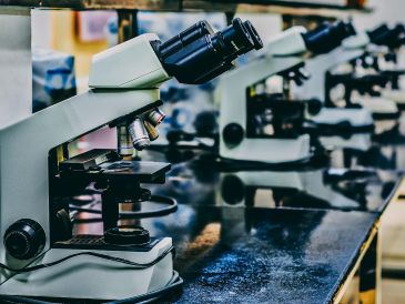 ¿Cuáles son los riesgos de los químicos de la vida diaria hacia nuestras hormonas? UNSPLASH / O. CHEA