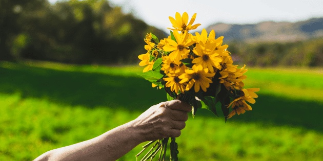 Flores amarillas: Qu&eacute; d&iacute;a se entregan y cu&aacute;l es su significado real