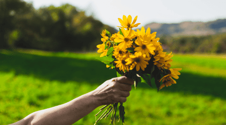 Aunque actualmente la tradición circula ampliamente en plataformas digitales como TikTok e Instagram, su origen moderno se asocia con la telenovela juvenil argentina Floricienta, estrenada en 2004. CANVA