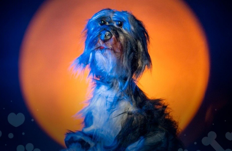 La obra de teatro 'Lo que queda de nosotros' dará una función en el Teatro Galerías. ESPECIAL/CORTESÍA.