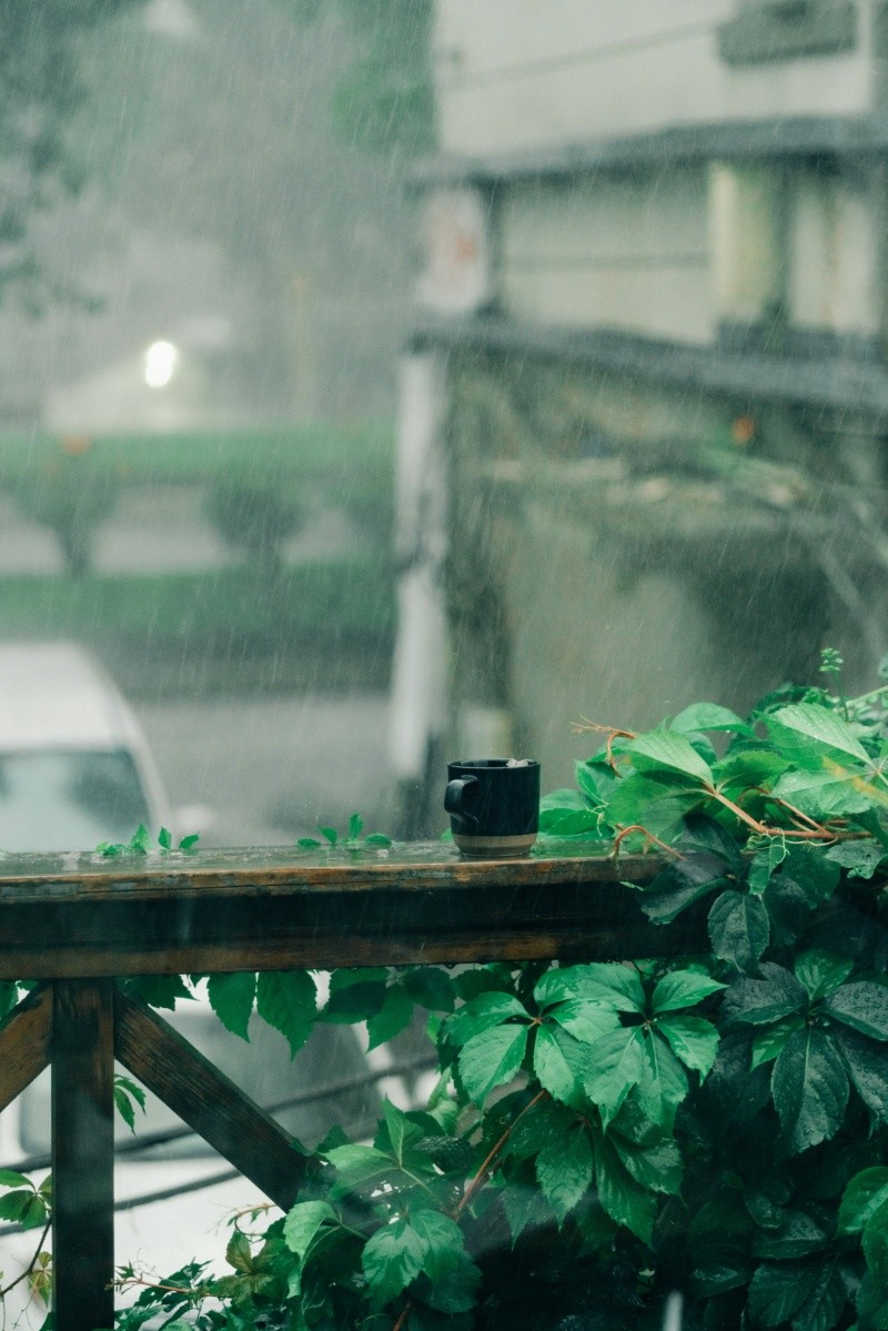 En la antigüedad, nuestros antepasados relacionaban el olor a tierra mojada con algo positivo. UNSPLASH / OONEIROSLYL&nbsp;