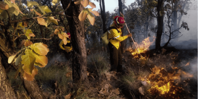 Alertan por incendios forestales en La Primavera durante estiaje