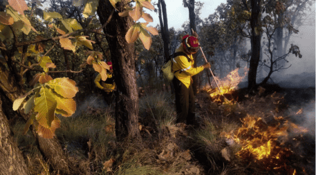 Autoridades estatales han implementado algunas acciones para prevenir la mayor cantidad de incendios forestales posibles. ESPECIAL
