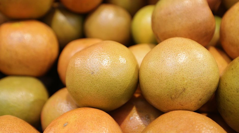 Pese a una larga lista de beneficios, las frutas y verduras también pueden albergar gérmenes que producen enfermedades, como infecciones y trastornos digestivos. NTX / ARCHIVO