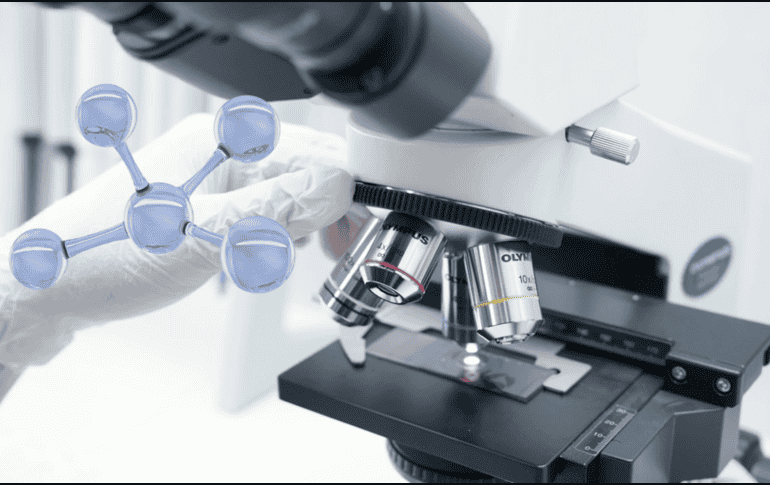 Este descubrimiento es sumamente importante para diferentes procesos. UNSPLASH / INDRA PROJECTS