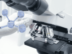 Este descubrimiento es sumamente importante para diferentes procesos. UNSPLASH / INDRA PROJECTS