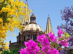 A esta estación se le conoce como la de la vivacidad y se asocia con la alegría, el desarrollo y el renacer de la vida. ESPECIAL / CANVA