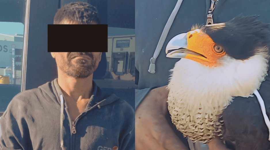 Los hechos ocurrieron durante un recorrido de vigilancia de los policías municipales sobre el Nuevo Periférico al cruce con la calle Juan Pablo II, en la colonia El Refugio. ESPECIAL