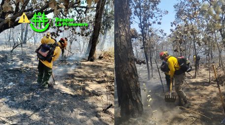 Semadet recomienda a la población mantenerse informada a través de los canales oficiales y se recuerda que está prohibido el uso del fuego en el Bosque La Primavera. ESPECIAL