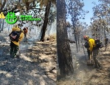 Semadet recomienda a la población mantenerse informada a través de los canales oficiales y se recuerda que está prohibido el uso del fuego en el Bosque La Primavera. ESPECIAL