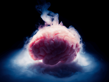 Si las conexiones sinápticas permanecen intactas, la actividad neuronal podría restablecerse incluso después de largos periodos de suspensión molecular. CANVA