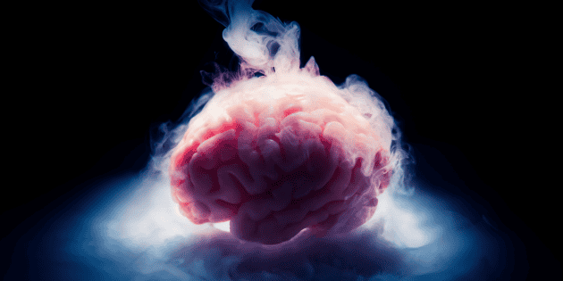 Salud: Cient&iacute;ficos consiguen "despertar" neuronas de cerebro congelado