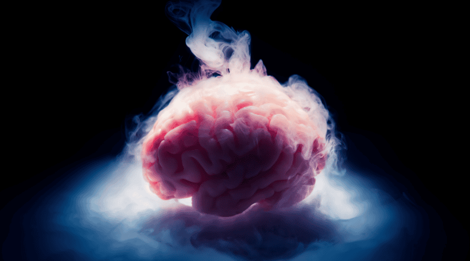 Si las conexiones sinápticas permanecen intactas, la actividad neuronal podría restablecerse incluso después de largos periodos de suspensión molecular. CANVA