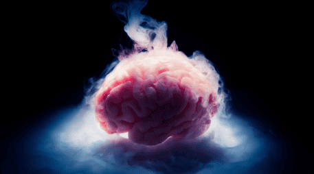 Si las conexiones sinápticas permanecen intactas, la actividad neuronal podría restablecerse incluso después de largos periodos de suspensión molecular. CANVA