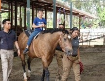 El Centro de Equinoterapia Artemisa aumentó su capacidad de respuesta para niños y niñas con diferentes padecimientos y discapacidades. ESPECIAL / Policía de Guadalajara