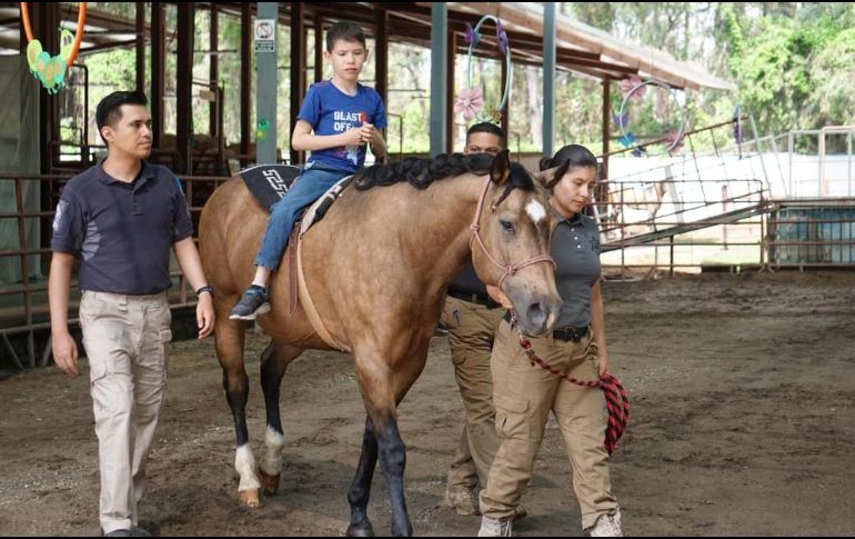 El Centro de Equinoterapia Artemisa aumentó su capacidad de respuesta para niños y niñas con diferentes padecimientos y discapacidades. ESPECIAL / Policía de Guadalajara