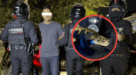 Fue mientras patrullaban cuando los uniformados estatales observaron en el tablero de un vehículo lo que aparentaba ser un reptilESPECIAL / SECRETARÍA DE SEGURIDAD