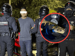 Fue mientras patrullaban cuando los uniformados estatales observaron en el tablero de un vehículo lo que aparentaba ser un reptilESPECIAL / SECRETARÍA DE SEGURIDAD