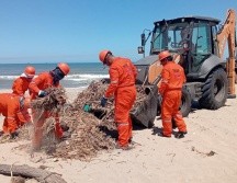 Los trabajos de saneamiento en playas presentan avances importantes y se prevé que en los próximos días puedan concluirse. ESPECIAL/Semarnat