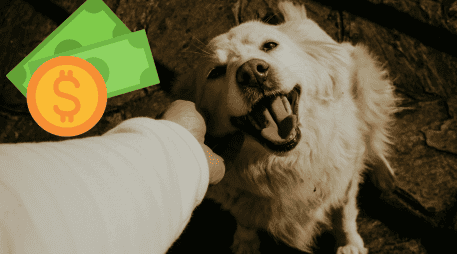 Con el paso de los años, los dueños redujeron las sobras como sustento para las mascotas. UNSPLASH