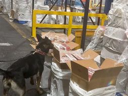 Cargamento de cigarrillos de procedencia ilícita asegurado por elementos de la Semar. EL UNIVERSAL