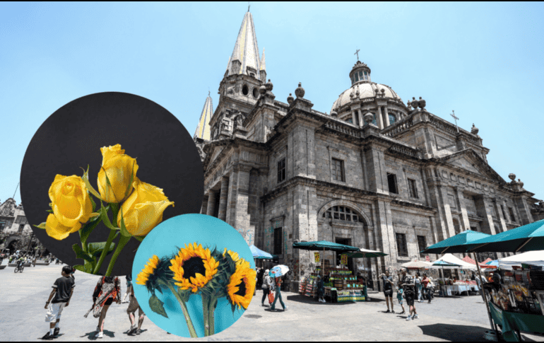 La costumbre surgió a partir de la canción Flores Amarillas, interpretada en la telenovela argentina “Floricienta”. ESPECIAL/ EL INFORMADOR/ ARCHIVO/ Unsplash