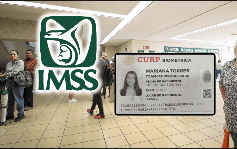 La CURP biométrica ayudará a reemplazar otros documentos necesarios para los trámites en el IMSS. EL INFORMADOR/ARCHIVO