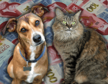 La esperanza de vida de las mascotas aumentó en los últimos años, así como hubo mejoras con la alimentación y nutrición de estas. ESPECIAL/Canva