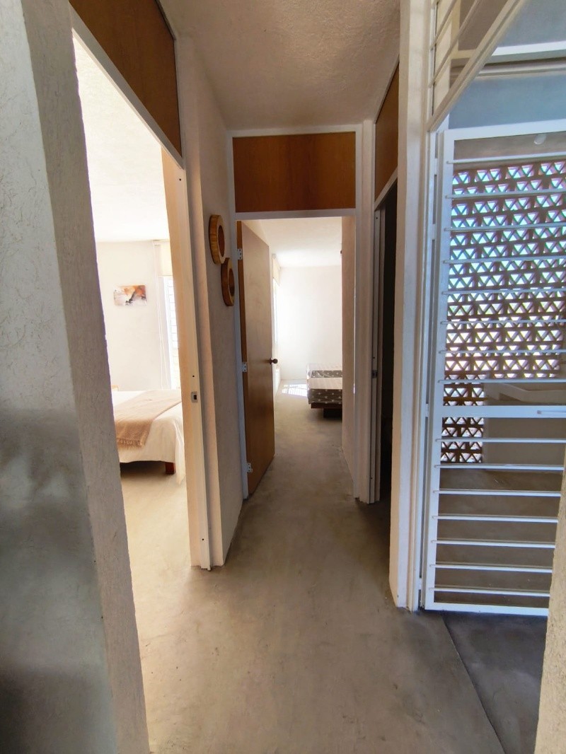 &nbsp;&nbsp;Así lucen las primeras 