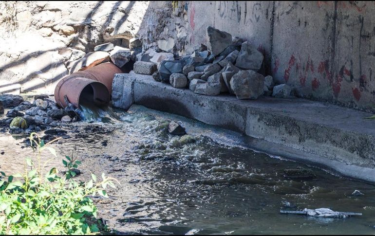 Así lucen cuatro puntos de descarga de aguas residuales documentados en los municipios de Tlajomulco de Zúñiga y Tlaquepaque. EL INFORMADOR / A. Navarro