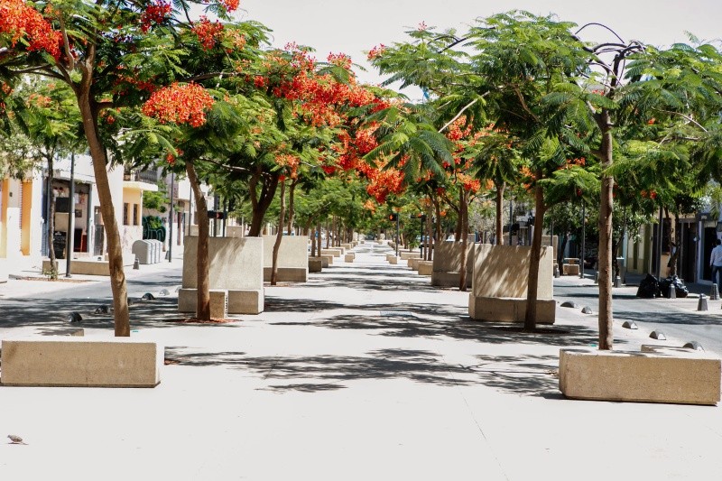 EL INFORMADOR / ARCHIVO