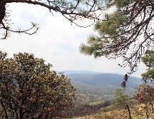 Este espacio fue decretado como Área Natural Protegida de carácter federal el 6 de marzo de 1980. EL INFORMADOR / ARCHIVO