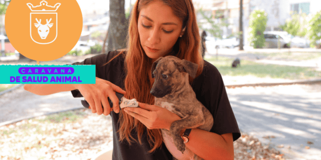 Zapopan: Servicios GRATIS para las mascotas llegar&aacute;n a la colonia Atemajac del Valle