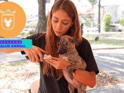 Vacunar a una mascota no solo mejora su calidad de vida, sino que también te permite disfrutar de su compañía por mucho más tiempo. ESPECIAL/ Gobierno de Zapopan