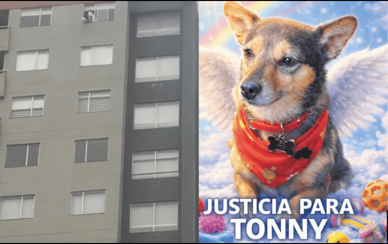 Las autoridades señalaron que el caso ya está en manos de la Fiscalía General de la Nación. ESPECIAL