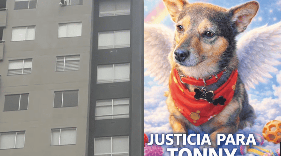 Las autoridades señalaron que el caso ya está en manos de la Fiscalía General de la Nación. ESPECIAL