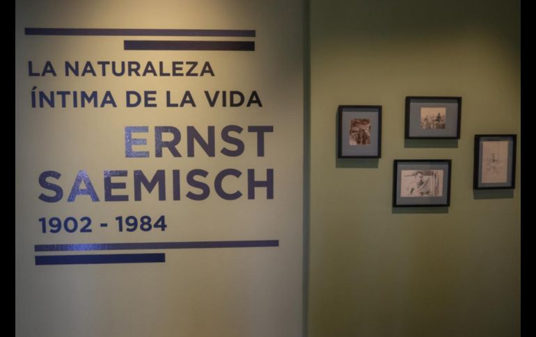 La obra de Ernst Saemisch llega al MUSA
