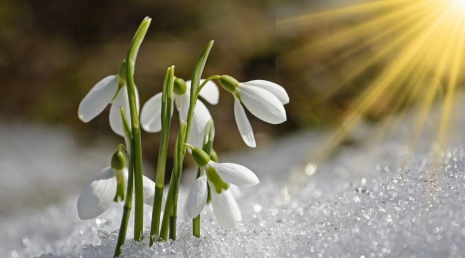 Este fenómeno natural simboliza el cambio de estación y el inicio de un periodo caracterizado por el aumento de la luz solar. CANVA/ESPECIAL