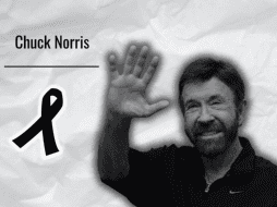 Reconocido como una de las grandes figuras del cine de acción, Norris construyó una sólida carrera en Hollywood tras destacar como campeón mundial de karate. EFE/EPA/T. Kovas Hungary ESPECIAL