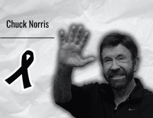 Reconocido como una de las grandes figuras del cine de acción, Norris construyó una sólida carrera en Hollywood tras destacar como campeón mundial de karate. EFE/EPA/T. Kovas Hungary ESPECIAL