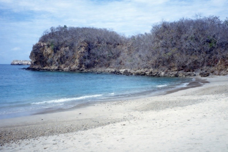 EL INFORMADOR / ARCHIVO&nbsp;