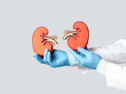 Aunque no se trata de un diagnóstico formal ampliamente establecido, diversos estudios han señalado que esta acumulación de grasa renal puede estar relacionada con enfermedades como la diabetes tipo 2. CANVA