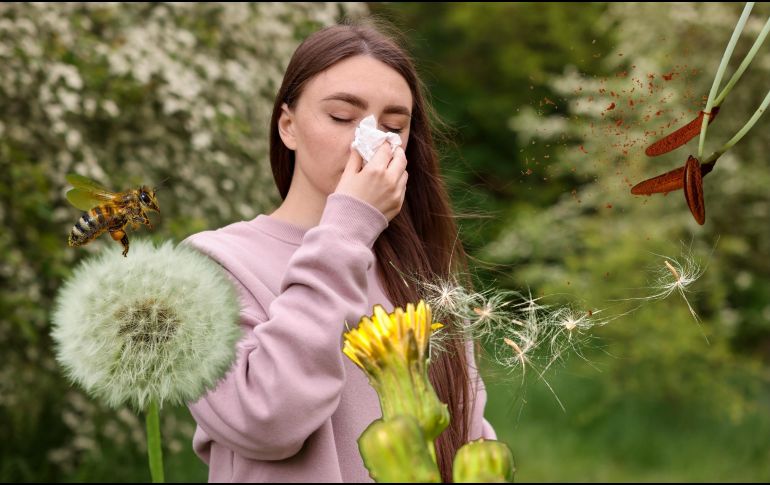 La Academia Americana de Alergia, Asma e Inmunología, dice que la primavera no solo trae cambios en el clima, sino también la presencia de miles de millones de partículas de polen en el aire. ESPECIAL / CANVA