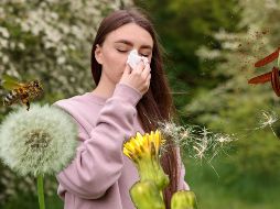 La Academia Americana de Alergia, Asma e Inmunología, dice que la primavera no solo trae cambios en el clima, sino también la presencia de miles de millones de partículas de polen en el aire. ESPECIAL / CANVA