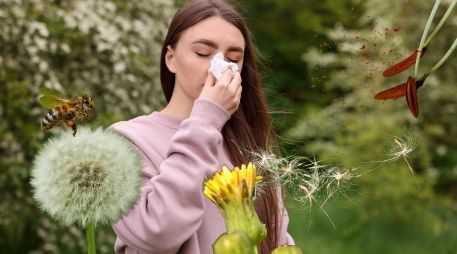 La Academia Americana de Alergia, Asma e Inmunología, dice que la primavera no solo trae cambios en el clima, sino también la presencia de miles de millones de partículas de polen en el aire. ESPECIAL / CANVA