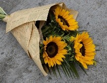 Cada 21 de marzo, miles de personas se suman a la tendencia de regalar flores amarillas. PEXELS