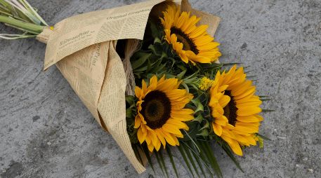 Cada 21 de marzo, miles de personas se suman a la tendencia de regalar flores amarillas. PEXELS